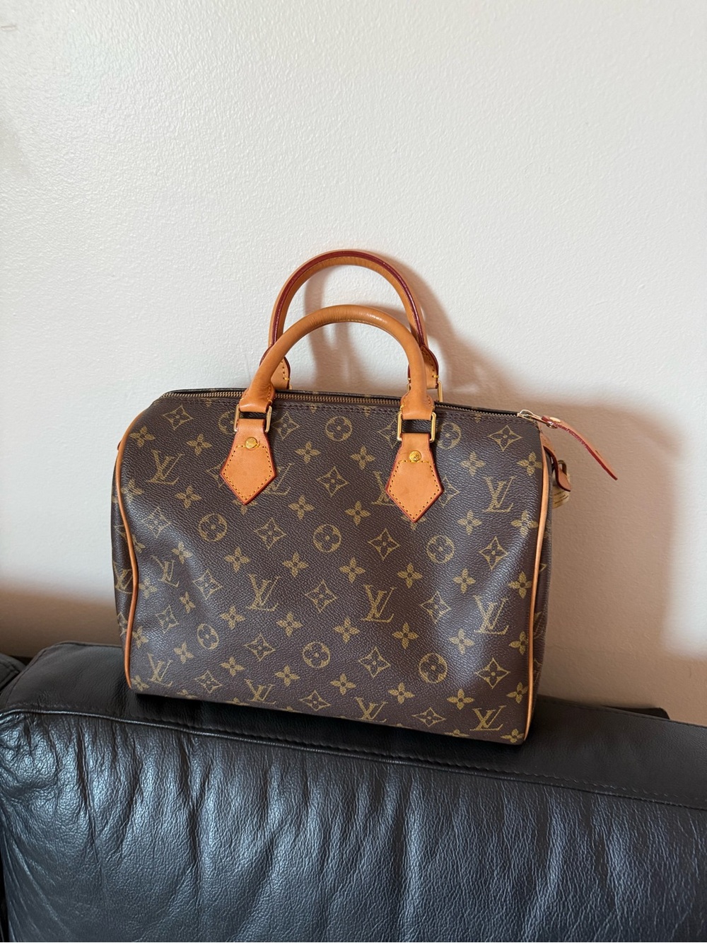 Monogram Speedy 30 Handbag - Brown/Tan